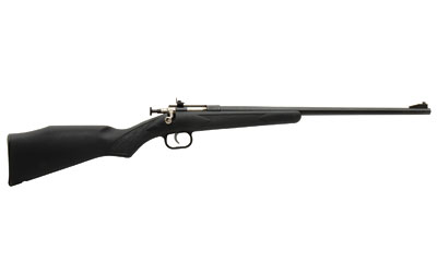 CRICKETT RIFLE G2 22LR BLUED/BLACK SYNTHETIC - for sale