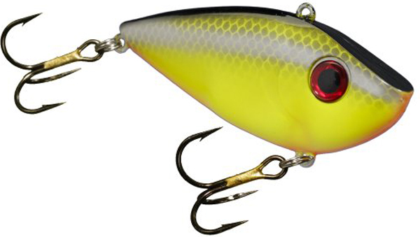 SK RED EYED SHAD CHT BAITFISH - for sale